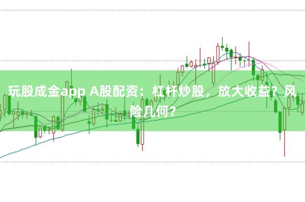 玩股成金app A股配资：杠杆炒股，放大收益？风险几何？