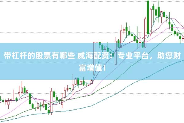 带杠杆的股票有哪些 威海配资：专业平台，助您财富增值！