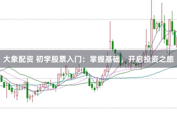 大象配资 初学股票入门：掌握基础，开启投资之旅