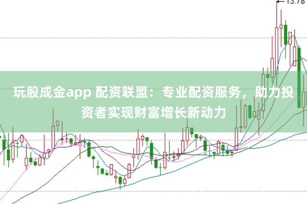 玩股成金app 配资联盟：专业配资服务，助力投资者实现财富增长新动力