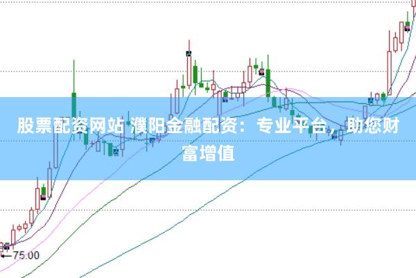 股票配资网站 濮阳金融配资：专业平台，助您财富增值