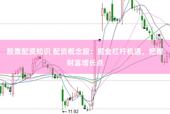 股票配资知识 配资概念股：掘金杠杆机遇，把握财富增长点