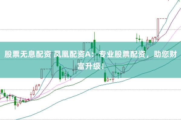股票无息配资 凤凰配资A：专业股票配资，助您财富升级！