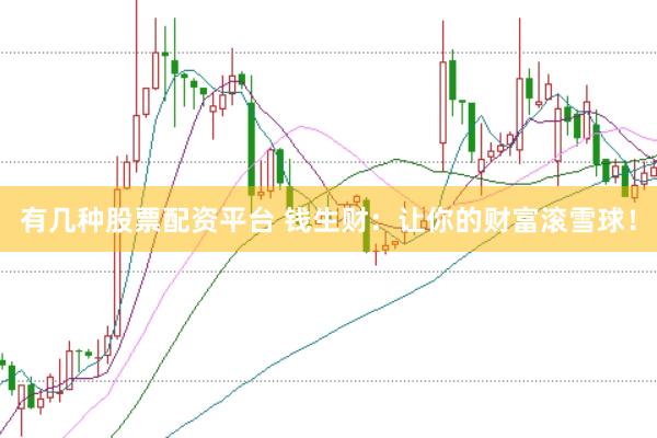 有几种股票配资平台 钱生财：让你的财富滚雪球！
