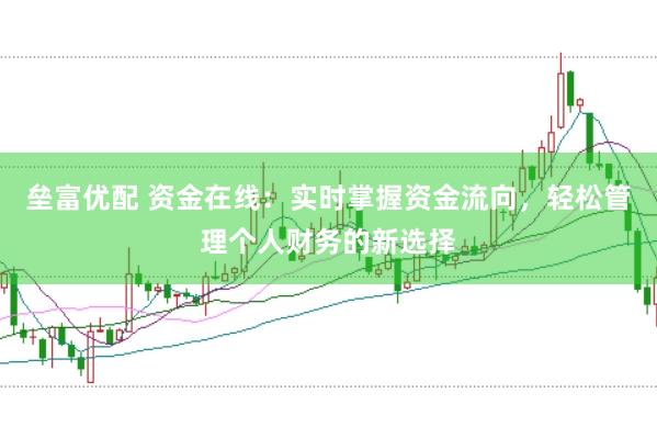 垒富优配 资金在线：实时掌握资金流向，轻松管理个人财务的新选择