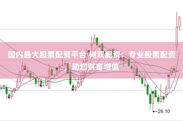 国内最大股票配资平台 树双配资：专业股票配资，助您财富增值