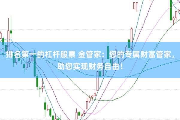 排名第一的杠杆股票 金管家：您的专属财富管家，助您实现财务自由！