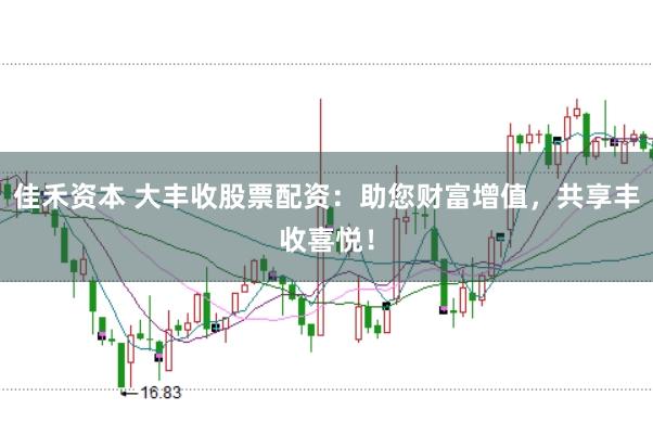 佳禾资本 大丰收股票配资：助您财富增值，共享丰收喜悦！