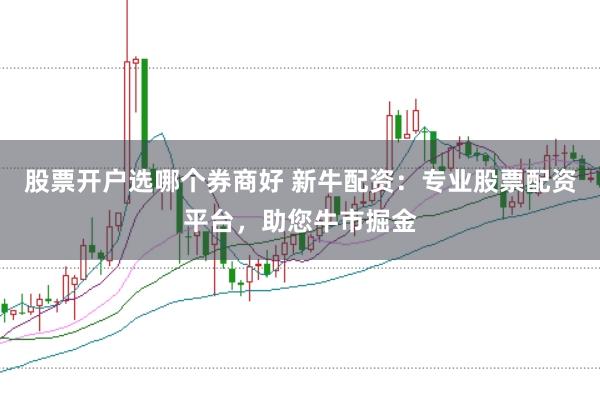 股票开户选哪个券商好 新牛配资：专业股票配资平台，助您牛市掘金