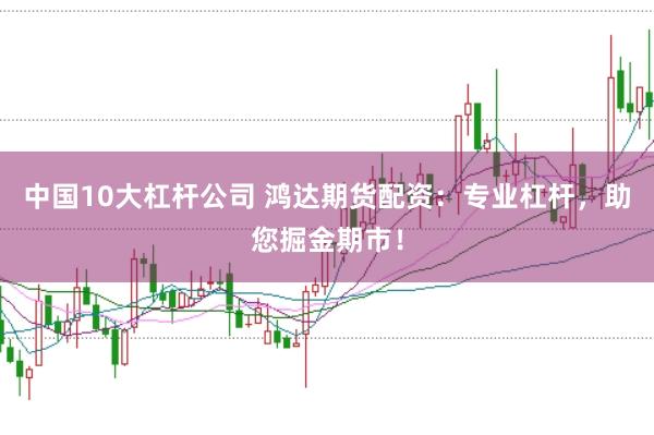 中国10大杠杆公司 鸿达期货配资:专业杠杆,助您掘金期市!