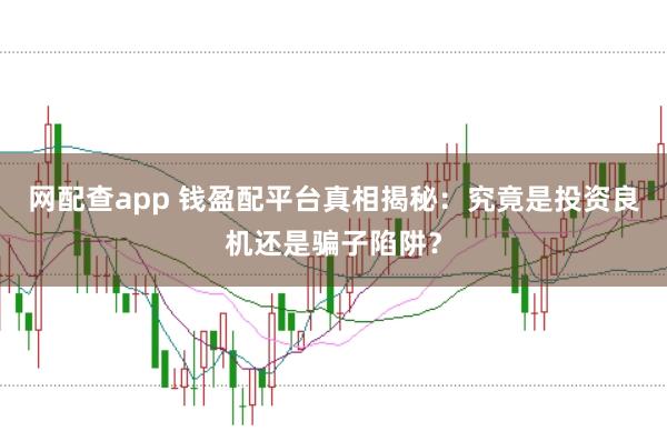 网配查app 钱盈配平台真相揭秘:究竟是投资良机还是骗子陷阱?