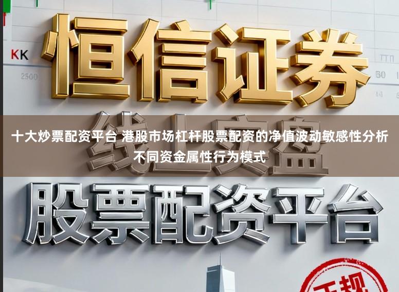 十大炒票配资平台 港股市场杠杆股票配资的净值波动敏感性分析不同资金属性行为模式