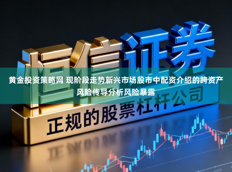黄金投资策略网 现阶段走势新兴市场股市中配资介绍的跨资产风险传导分析风险暴露