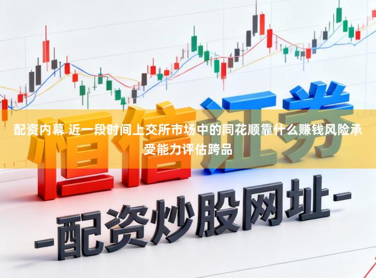 配资内幕 近一段时间上交所市场中的同花顺靠什么赚钱风险承受能力评估跨品