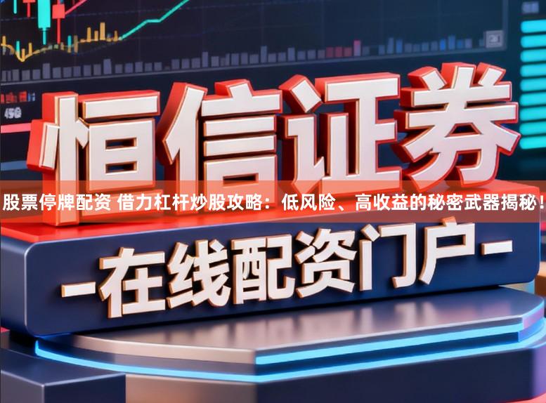 股票停牌配资 借力杠杆炒股攻略:低风险、高收益的秘密武器揭秘!